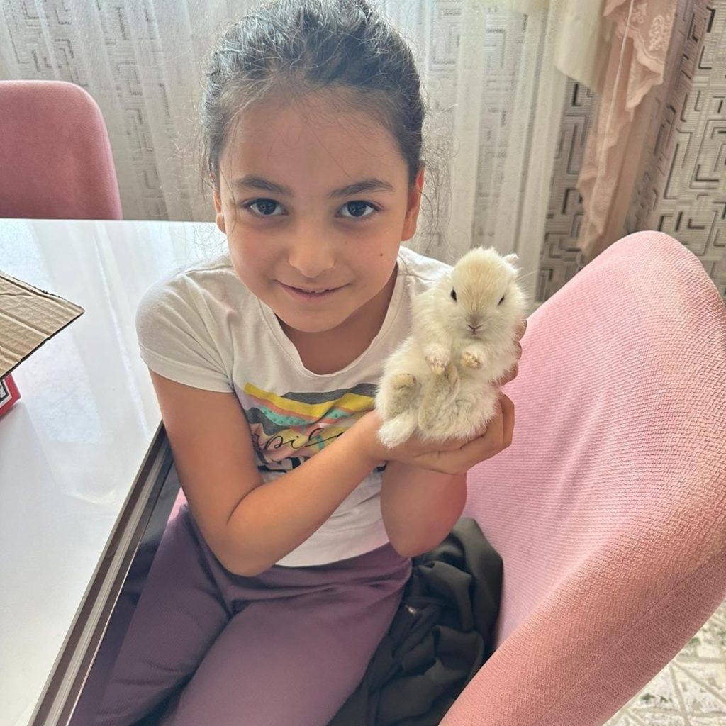 Neden Tavşan Terapisi