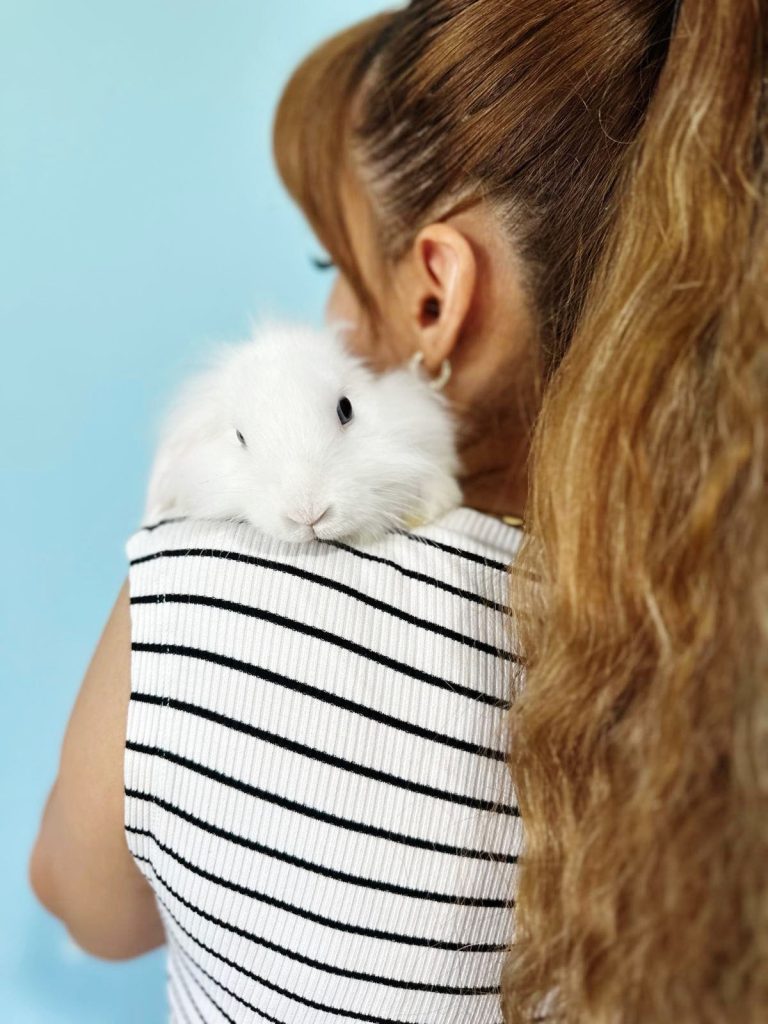 Neden Tavşan Terapisi