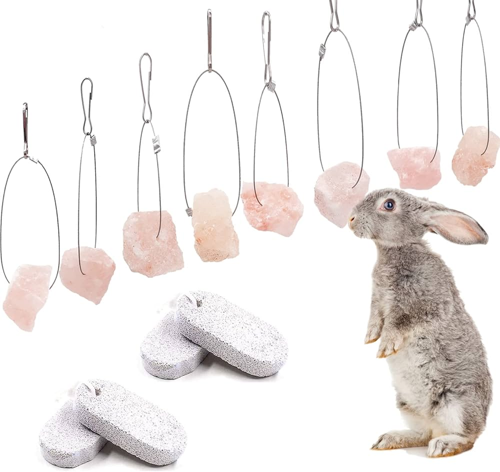 Tavşanlar Ne Yer Ne İçer